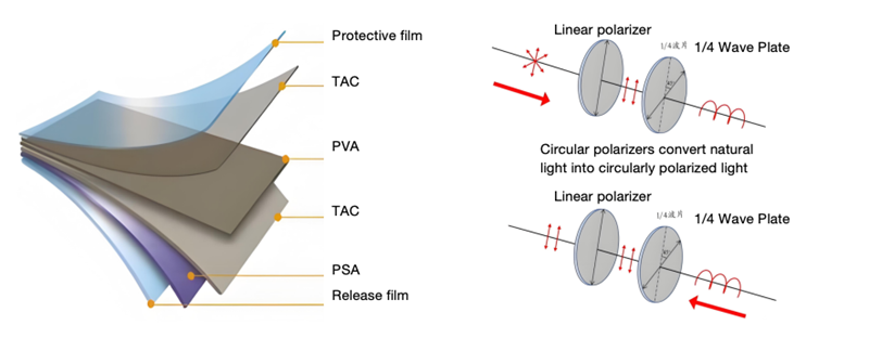 Polarizer Customization