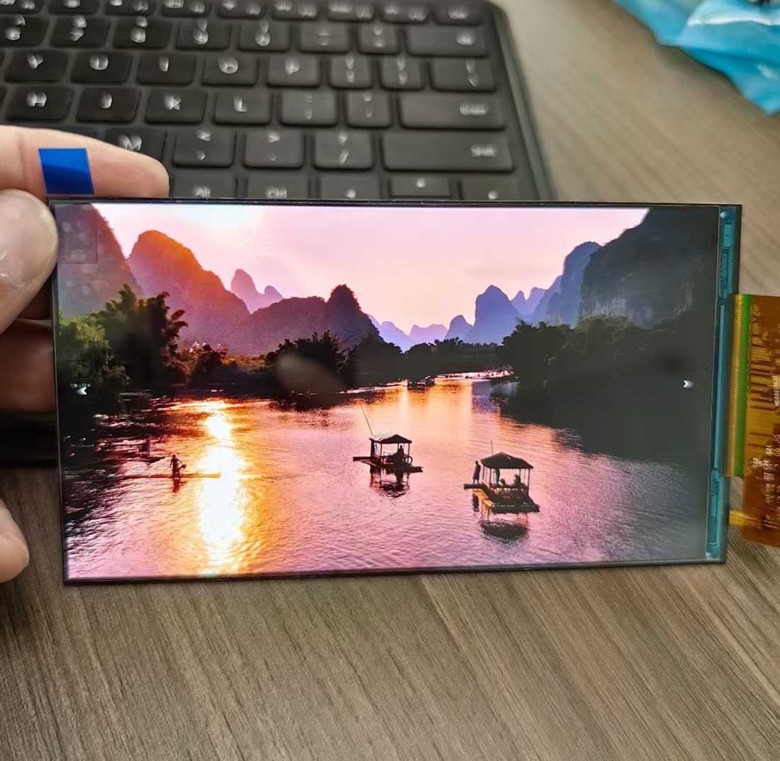 5.5-inch 1080×1920 IPS Display