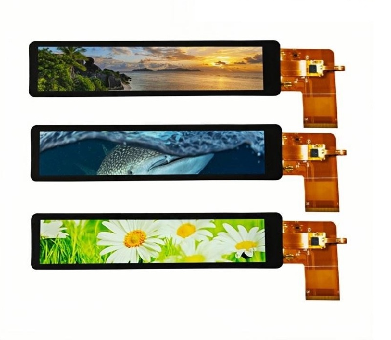 Why Choose the DINGTouch 6.9